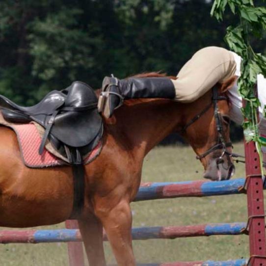 Top 10 different falls on horseback