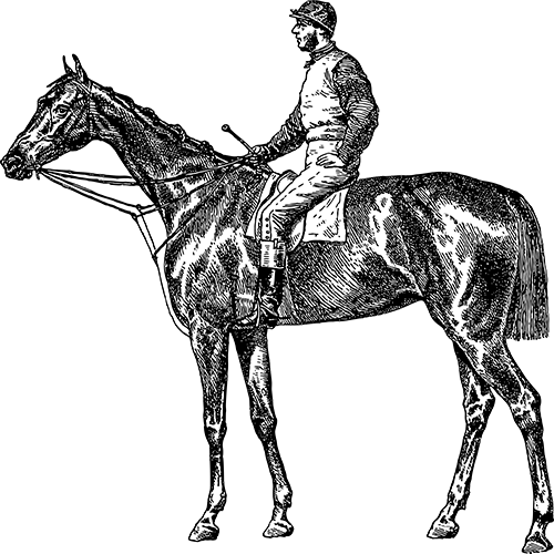 Horse image for a partner link 1