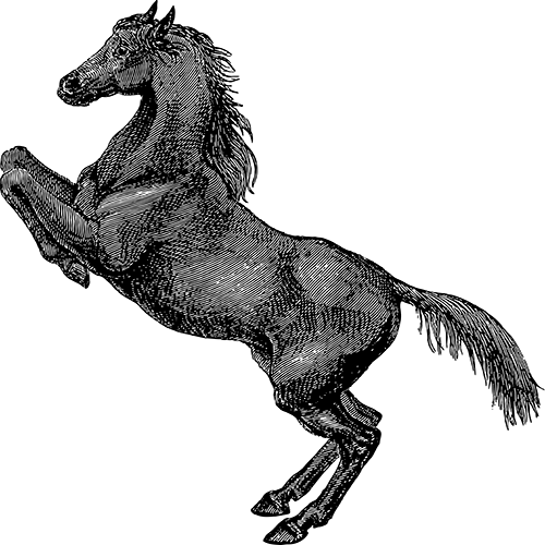 Horse image for a partner link 3